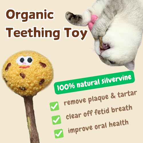 Palitos de hierba gatera CECE PAW snack dental natural para gatos 4
