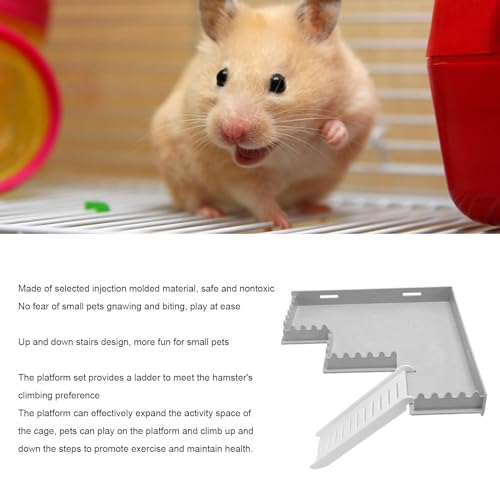 Plateforme pour hamster multifonctionnelle en plastique avec échelle pour souris - 4