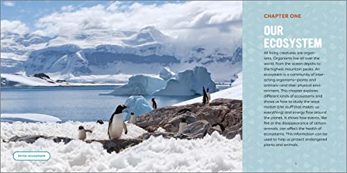 Planet Earth for Kids: A Junior Scientist's Guide to Water, Air, and Life in Our Ecosphere