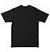Linkin Park from Zero Album Tour Tee, Washed Black, X-Large