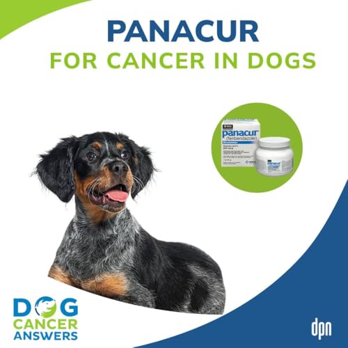 Panacur for Cancer in Dogs │ Dr. Nancy Reese #109 Podcast Por  arte de portada