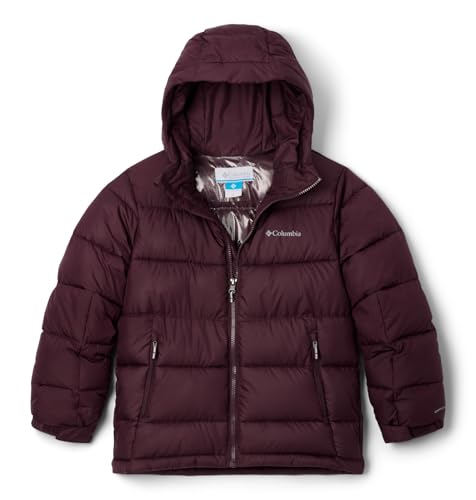 Image of Columbia Kids Pike Lakea ¢ II Hooded Jacket (Little Kids /Big Kids)