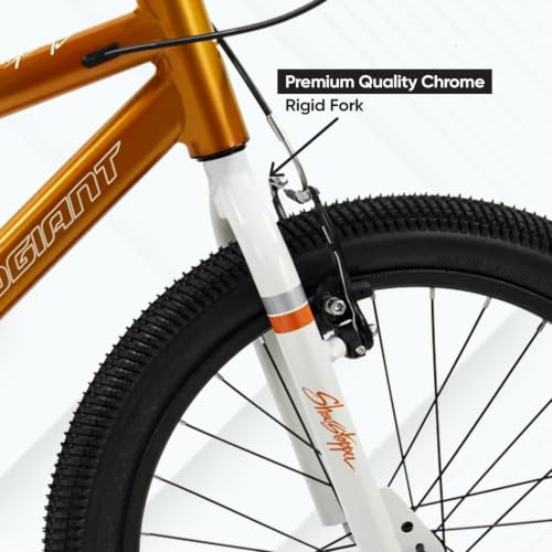 Image of ROADGIANT Showstopper, 20 T, Kids Bicycle, Single Speed, Steel Frame Cycle, Ideal for 6+ Year, Unisex, 20-inch, Dual Colour, Black (Orange)
