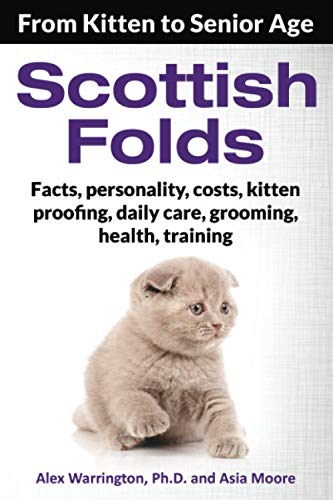  Scottish Folds: From Kitten to Senior Age