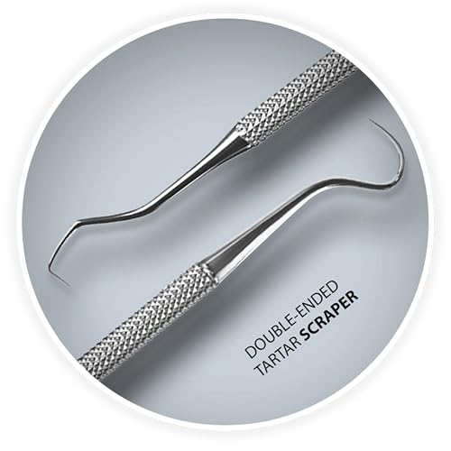 Student Professional Training Dental Hygiene Kit, Stainless Steel Tools Set, Plaque Removal Instruments (10) - Thumbnail 4