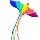 Touch the sky Colorful Phoenix Kite for Kids and Adults, Easy to Fly, Exquisite Fabrics and Unique Structure Design, Excellent Outdoor Games and Activity Toys, Suitable for Beginners.