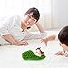 Ciieeo in Slippers Cats Doll Toy Mini Kitten in Shoe with Meows Sounds Sleeping Kitten Toy Decors for Home Table Car Decor Kids (Green)