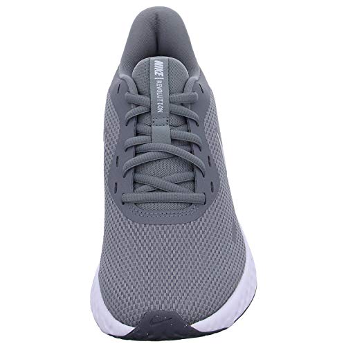 Image of Nike Mens Revolution 5 (4e) Running Shoe