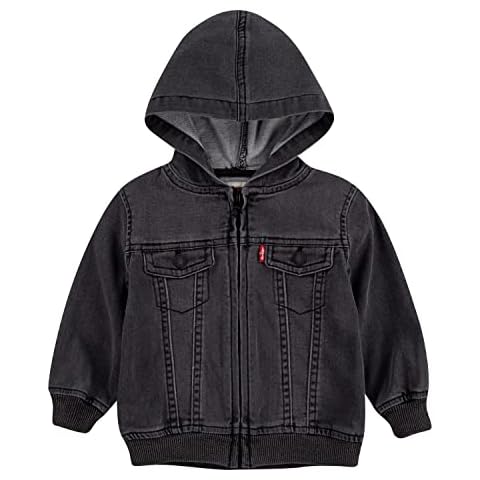 Levi's Baby Boys Hoodie, Pebble Grey Cover