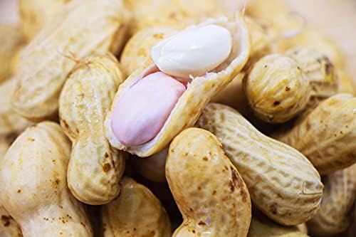 （16:00時点） 令和7年産 千葉県産 生落花生 無添加 おおまさり ゆで落花生用 1ｋｇ