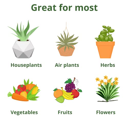 GS Plant Foods All Purpose Water Soluble 20-20-20 Fertilizer Balanced NPK Plant Food with Micronutrients, Contains Kelp (Ascophyllum nodosum) for Indoor & Outdoor Plants, Gardens & Turf (3 lbs)