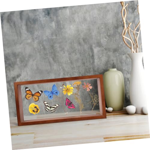 Caja De Exhibición Para Flores Secas con diseño profundo 5