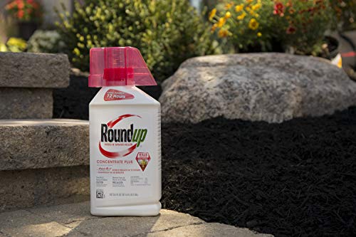 Roundup Weed & Grass Killer Concentrate Plus Value Size, 36.8 Oz. & Chapin 20000 Garden Sprayer 1 Gallon Lawn #TOP18