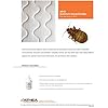 Total Solutions Extinct Insecticide (1 Gallon) - Permethrin Insecticide for Indoor & Outdoor Use