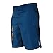 WarriorXGear WOD MMA Spartan Performance Cross-Training Shorts (Blue/Flag, 38)