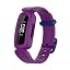 Purple-1