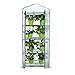 ZSHUZHI Serre Mini Greenhouse Maison Fleur d'extérieur Plante Jardinage Étagères d'hiver 4 Couches Sac de Culture Grow House Green House Green House PVC Couverture by