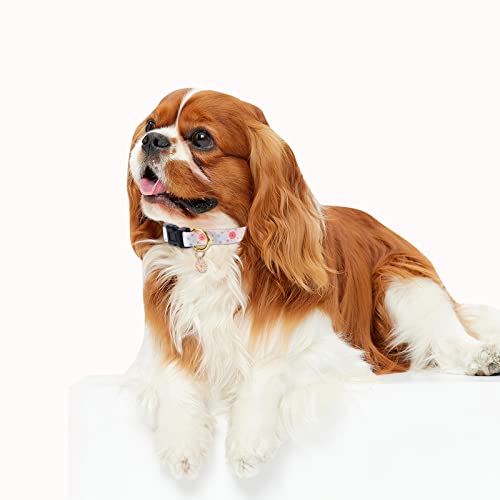 Cotton Handmade Dog Collar For Small Medium Large Dogs,Beige Daisy With Pendant Cute Dog Collars,Ideal For Girl Dogs Boy Dogs (Small) #TOP5