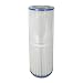 Pentair Dynamic 25 sq. ft. Cartridge, 6 oz. R173428