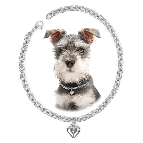 Image of HOWWFALY Dog Collar and Dog Chain Necklace Stainless Steel Adjustable 18K Sliver Heart-Shaped Necklace for Small Pets Cats Kitten Puppy (Sliver, 12 inch)