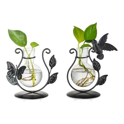 Glasseam Cute Hydroponic Plant Vases Set Cover