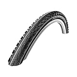 Schwalbe