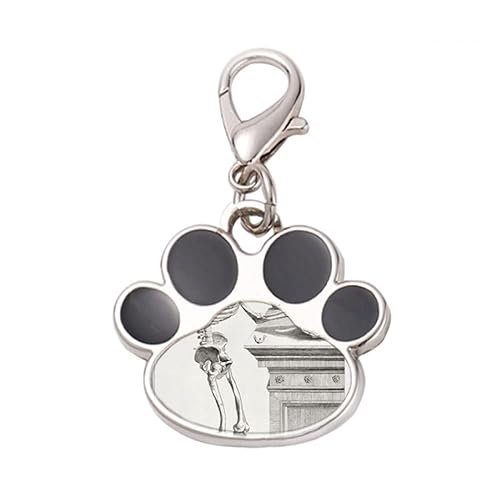 DIYthinker?Skeleton Human Body Pattern Decoration Pet Tag Keychain Dog Cat ID