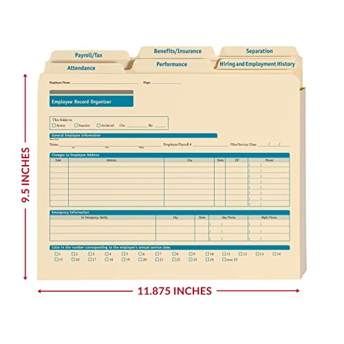 Complyright Expanded Employee Record Organizer And 6 Folders | 11.9” X 9.5” X 1.25” | Hr And Employee Management | 25-Pack #TOP4