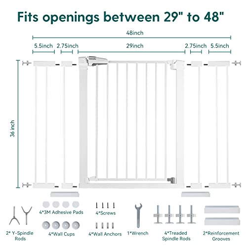 image for BABELIO 36