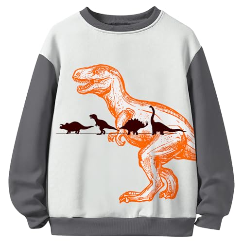 Toddler Boys' Long Sleeve Shirts Dinosaur Crewneck Pullover Cartoon Graphic Soft Warm Winter Top