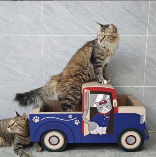 fancyflyL̂Ђi{[LVьܒܔLL̉ƔL؂̌L̒ܔԔLLpi (60x27x33cm,XփsbNAbvgbN)