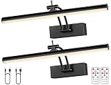 Yuichoy 2 Pack Picture Light Battery Operated for Wall, 12' Wireless Display Art Lighting for Painting with Remote, Dimmable 4200mAh Picture Frame Lights for Gallery, Black
