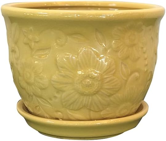 Garden & Home 6 Inch Yellow Indoor Ceramic Plant Pot with an Attached Saucer and Drainage Hole for House Plants, Herbs, Flowers, Succulent Plants, Snake Plants, Gifts for Mom