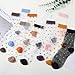 scenicamp 10 Pairs Women Sheer Ankle Sock Cute Ultrathin Transparent Mesh Dot See Through Summer Socks - Thin Fashion