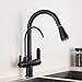 Kran do wody pitnej, wysoki łuk oczyszczający filtr wody Baterie kuchenne, podwójny uchwyt wyciągany zlew kuchenny, krany z ciepłą i zimną wodą,Black
