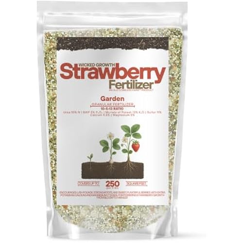 Old Cobblers Farm™ Wicked Growth Strawberry Fertilizer – Boosts Soil Quality, Higher Berry Yields & Robust Growth – Long-Lasting Nutrients for Home Gardens & Larger Plantings (5/10/15/20lbs) (15lbs)
