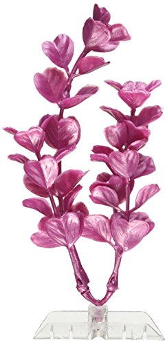 GloFish 19264 Moneywort Plant, Medium, Pink
