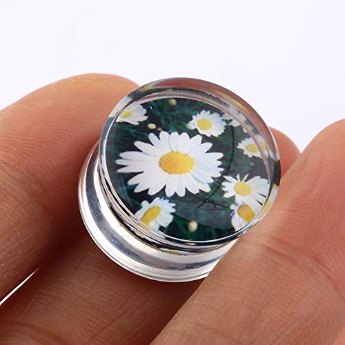 Women Ear Tunnels Stainless Steel Glass Stone Acrylic Ear Gauges Plugs Piercing Earrings Stretcher Set 8 Pairs