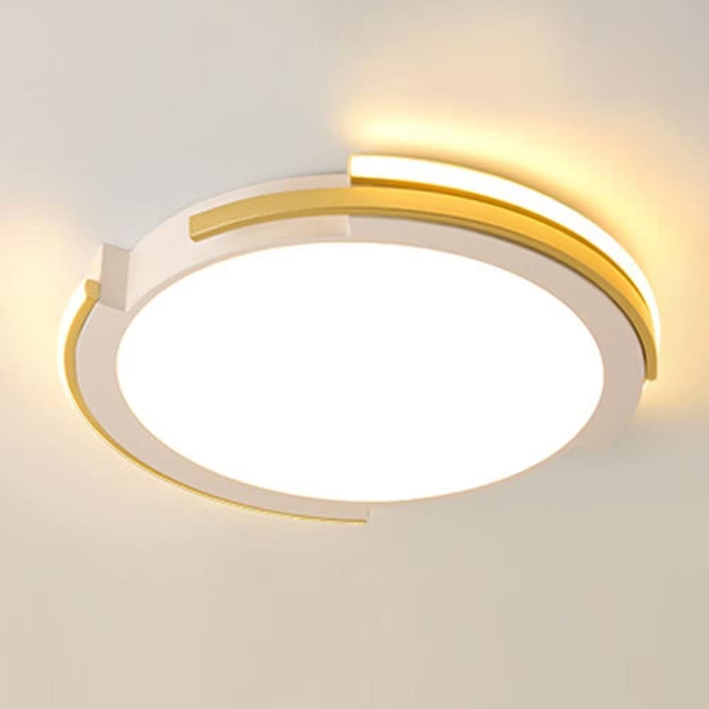 Plafonnier LED circulaire 50 cm pour un éclairage décoratif de bureau moderne