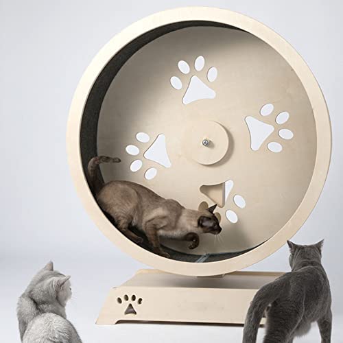 Tapis de course pour chat et petits animaux structure haut de gamme - 6