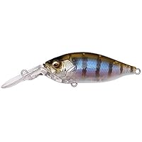 Amazon.co.jp: メガバス(Megabass) ルアー DEEP-X 100 LBO(ディープX