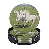 Entretien facile : Léger et facile à nettoyer, compact et réutilisable pour un usage quotidien.