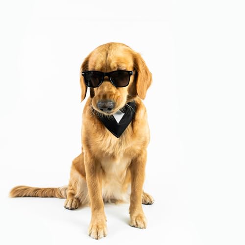 Disfraz Formal de Esmoquin para Perros Grandes con Gafas miniatura 3