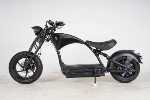 Eahora M1P Pro 6000W Electric Motorcycle