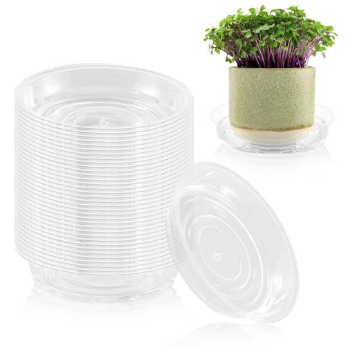 40 Pack 6 Inch Plant Saucer Clear Plant Saucers for Indoors Flower Pot Saucers Small Plants Plate Dish Succulent Pot Saucer Plants Trays for Pots Bulk Plastic Tray for Flower Cactus Nursery Pots