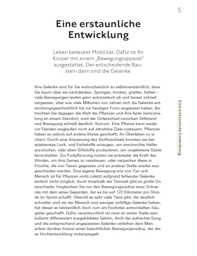 Fitte und starke Gelenke - ganzheitliches Handbuch mit den besten Übungen für gesunde Mobilität: Eine Anleitung für schmerzfreie und bewegliche Gelenke bei Arthrose, Rheuma, Gicht und Verletzungen