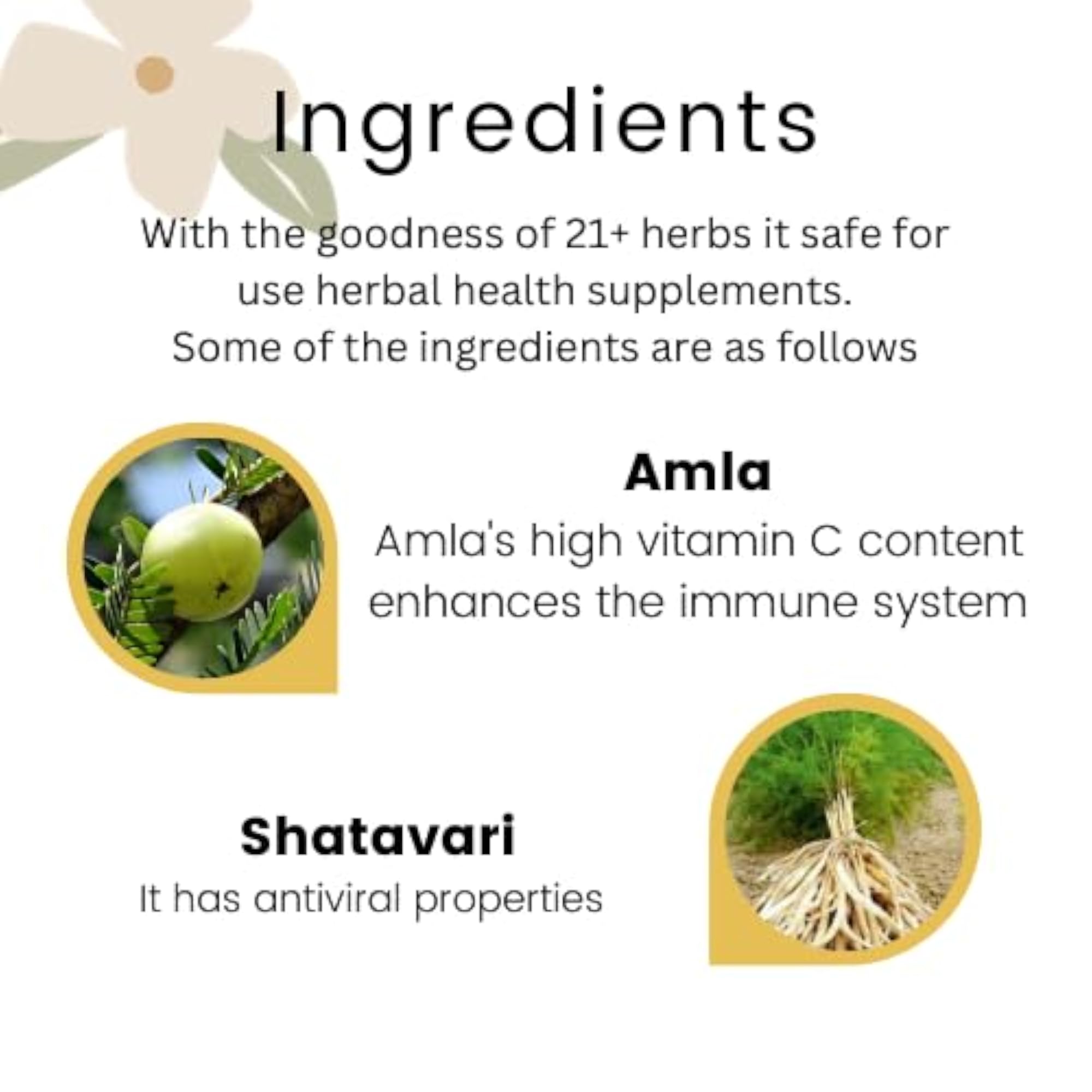 Kangra Herb's Immunokan Capsule Pack of 30