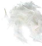 Zucker Loose Turkey Feather Flats Dyed - Bulk Feathers for Crafting, Holiday Decorating, Weddings, Cosplay & Costume (4-6 in)