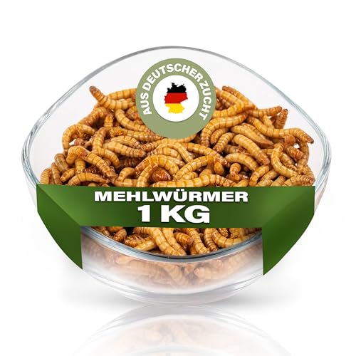 ENTAVA Mehlwürmer lebend 1kg - Frische Premium-Qualität aus eigener Deutscher Zucht Lebende Mehlwürmer geeignet als Vogelfutter Fischfutter Igelfutter Reptilienfutter Eichhörnchenfutter