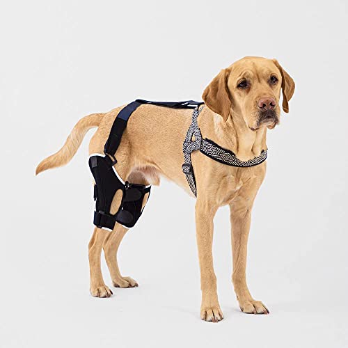Poveo hinged Dog Knee Brace with Patella Tracker - Neoprene Canine Stifle Support for Dogs with Flexible Support, Torn ACL, Patella Luxation, osteoarthritis, limping from Joint Pain, Hip dysplasia